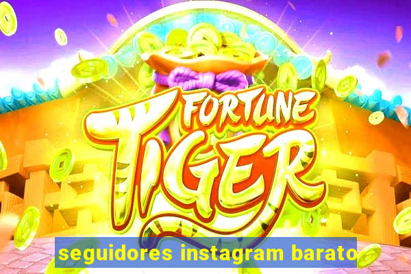 seguidores instagram barato